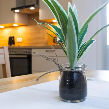 Apartment Kraatzer
